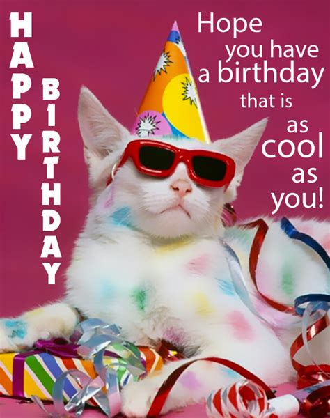 hilarious birthday ecards free|free funny animated birthday e-cards.